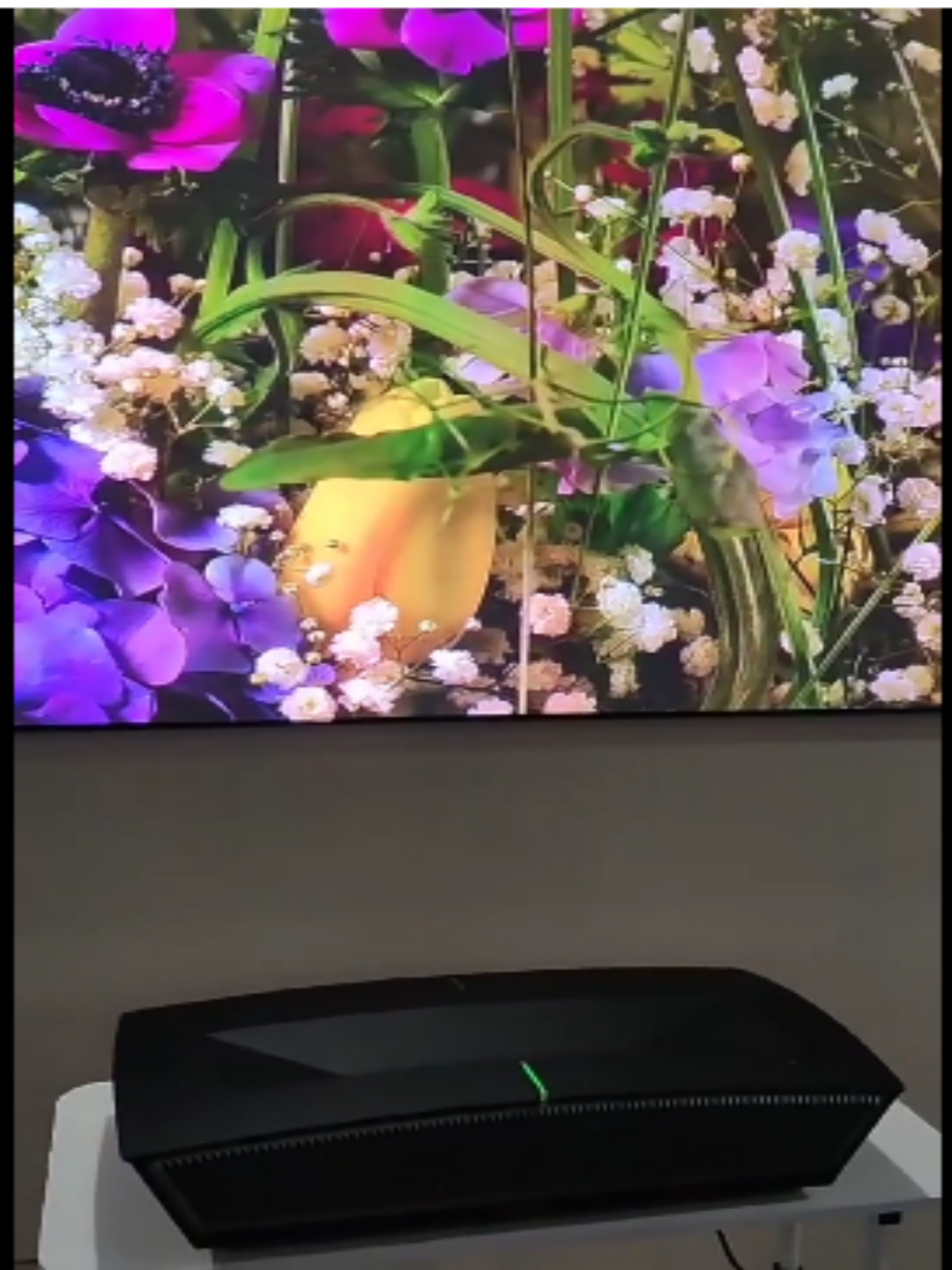 PaihaoX1A Projector 4K, Full Triple RGB Laser Proj